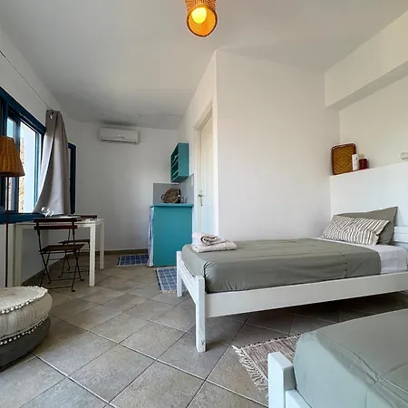 Armeos Blue * Myrties